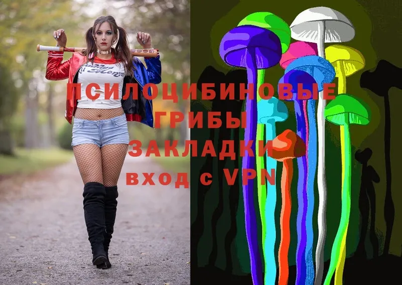 что такое   kraken ТОР  Галлюциногенные грибы Psilocybe  Туринск 